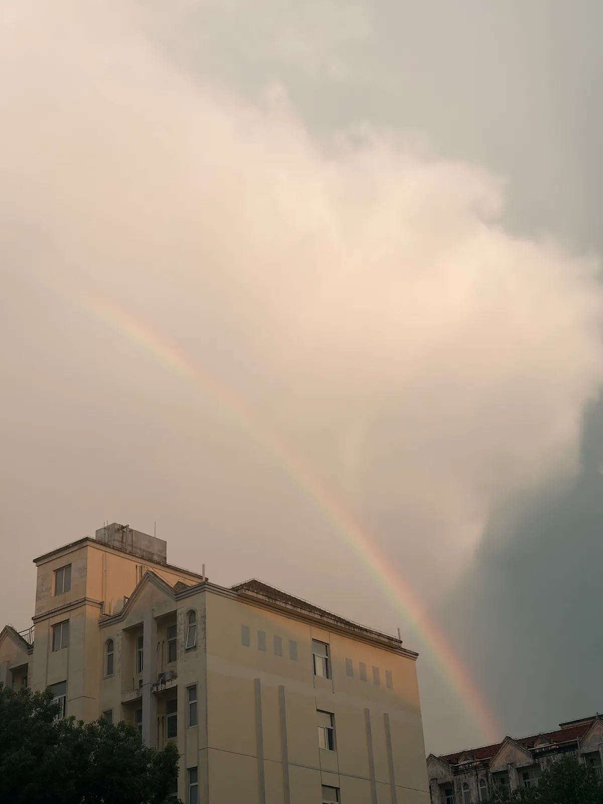 彩虹🌈