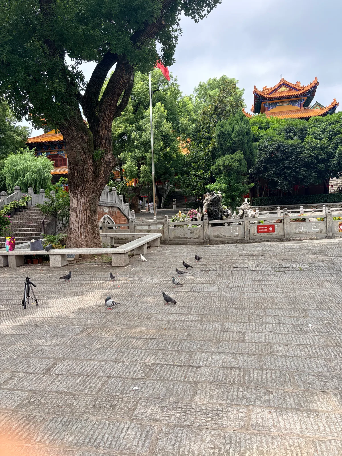 宝通寺
